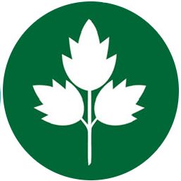 Sedano